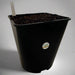 Sarracenia House Carnivorous Plant Potting Up Kit 5 Litre