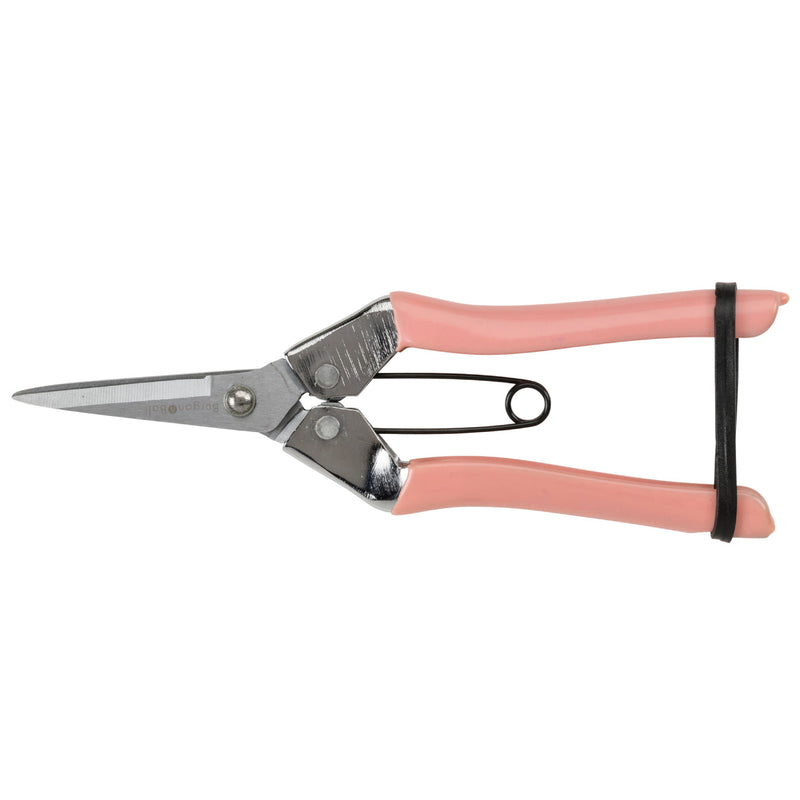 Burgon & Ball Flower Snips Collector Range - Blush Pink