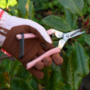 Burgon & Ball Flower Snips Collector Range - Blush Pink