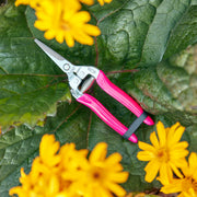 Burgon & Ball FloraBrite® Fluorescent Flower & Fruit Snip
