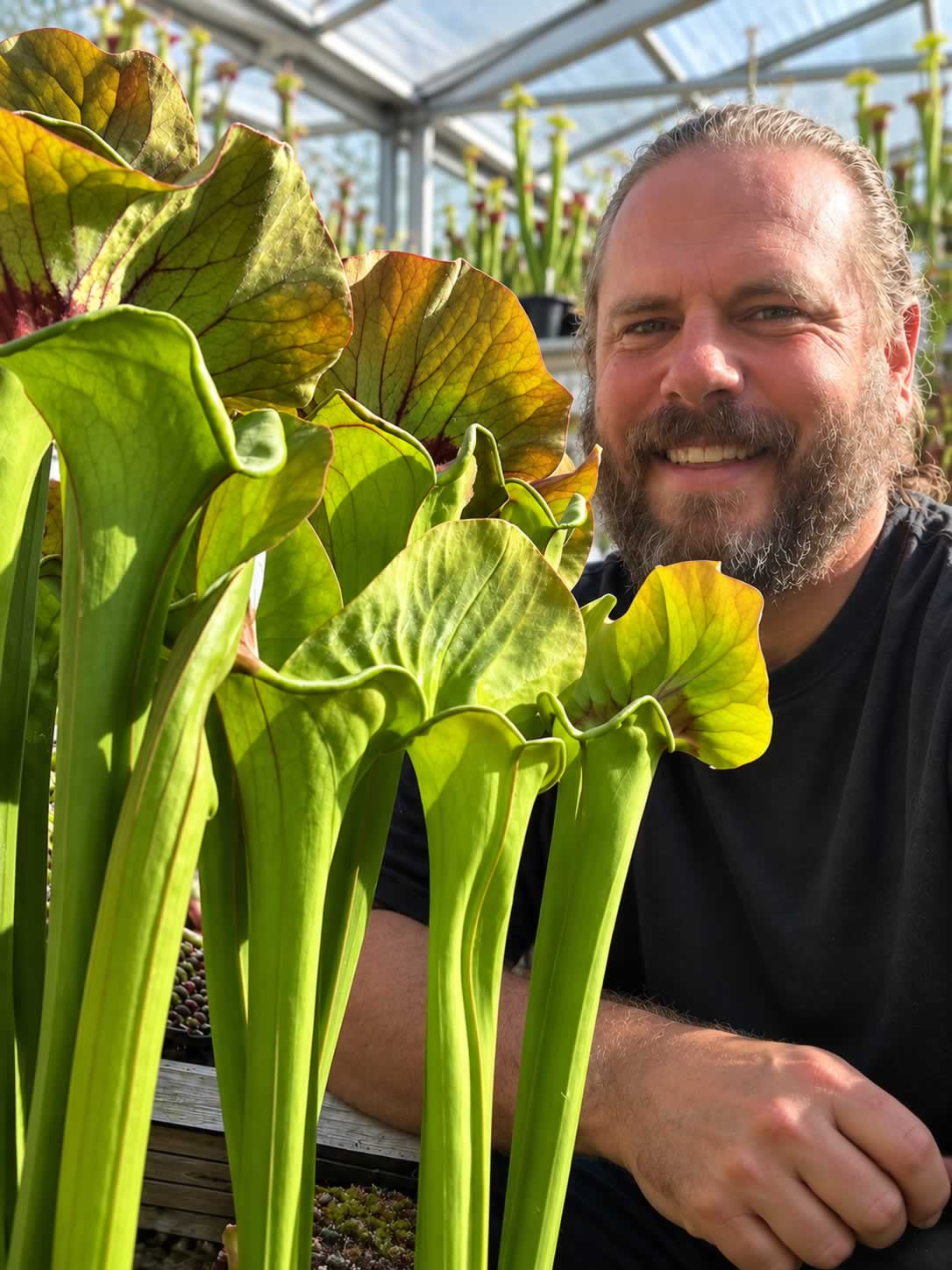 A smiling man with a beard wearing a black t-shirt is sitting in a greenhouse next to several tall green pitcher plants.