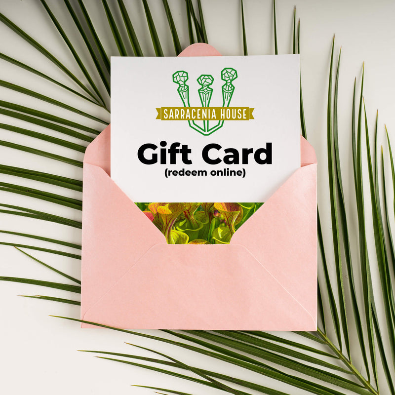 Sarracenia House Gift Card